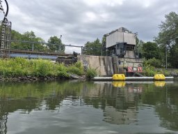 Mainschwimmen Juni 2026
